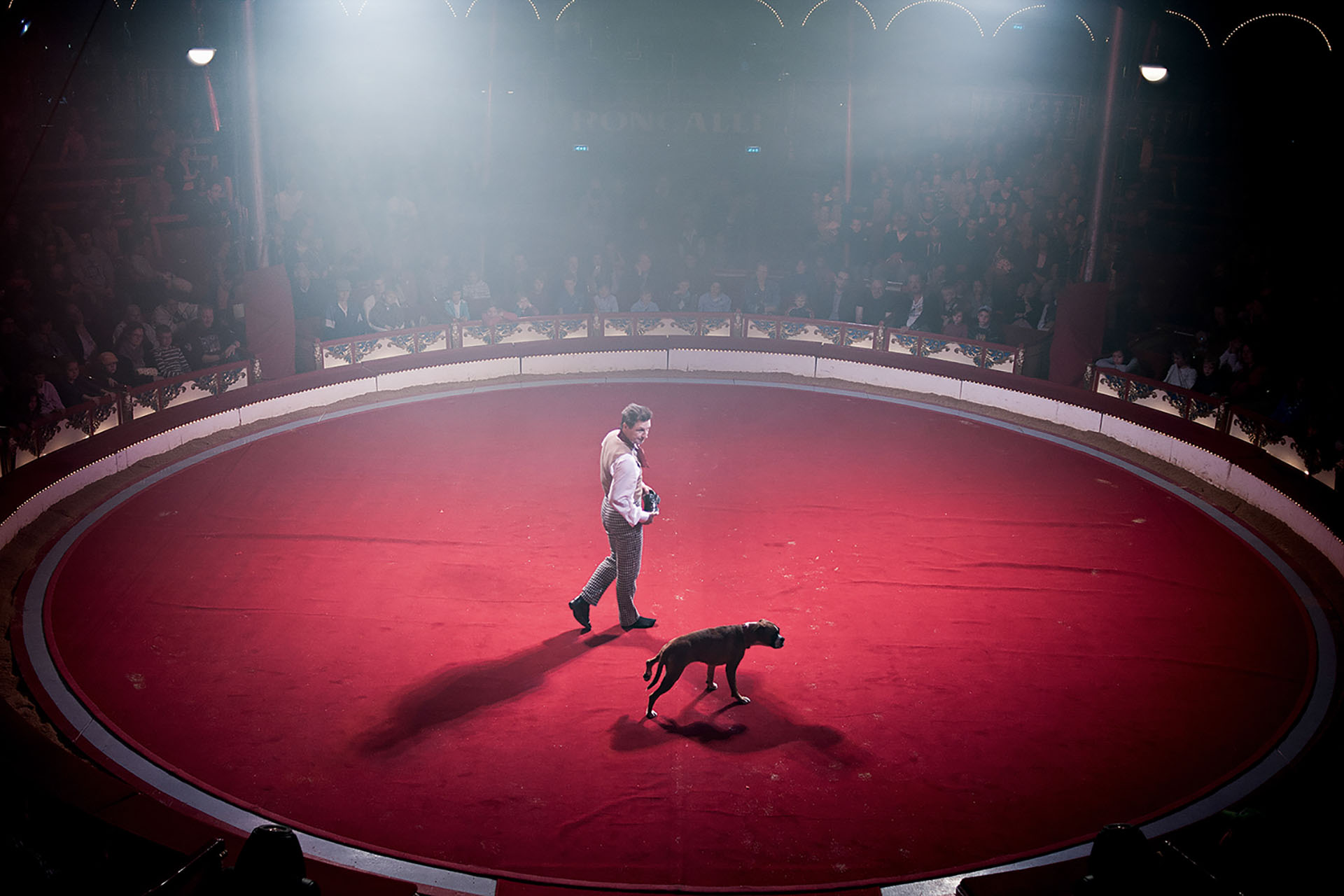 Circus